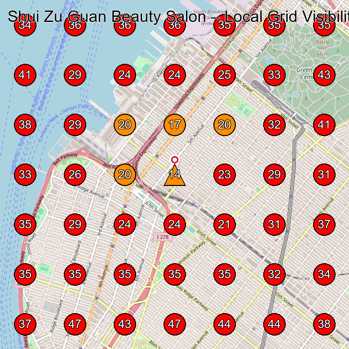 Shui Zu Guan Beauty Salon GeoGrid visibility map for Beauty Salon in Brooklyn